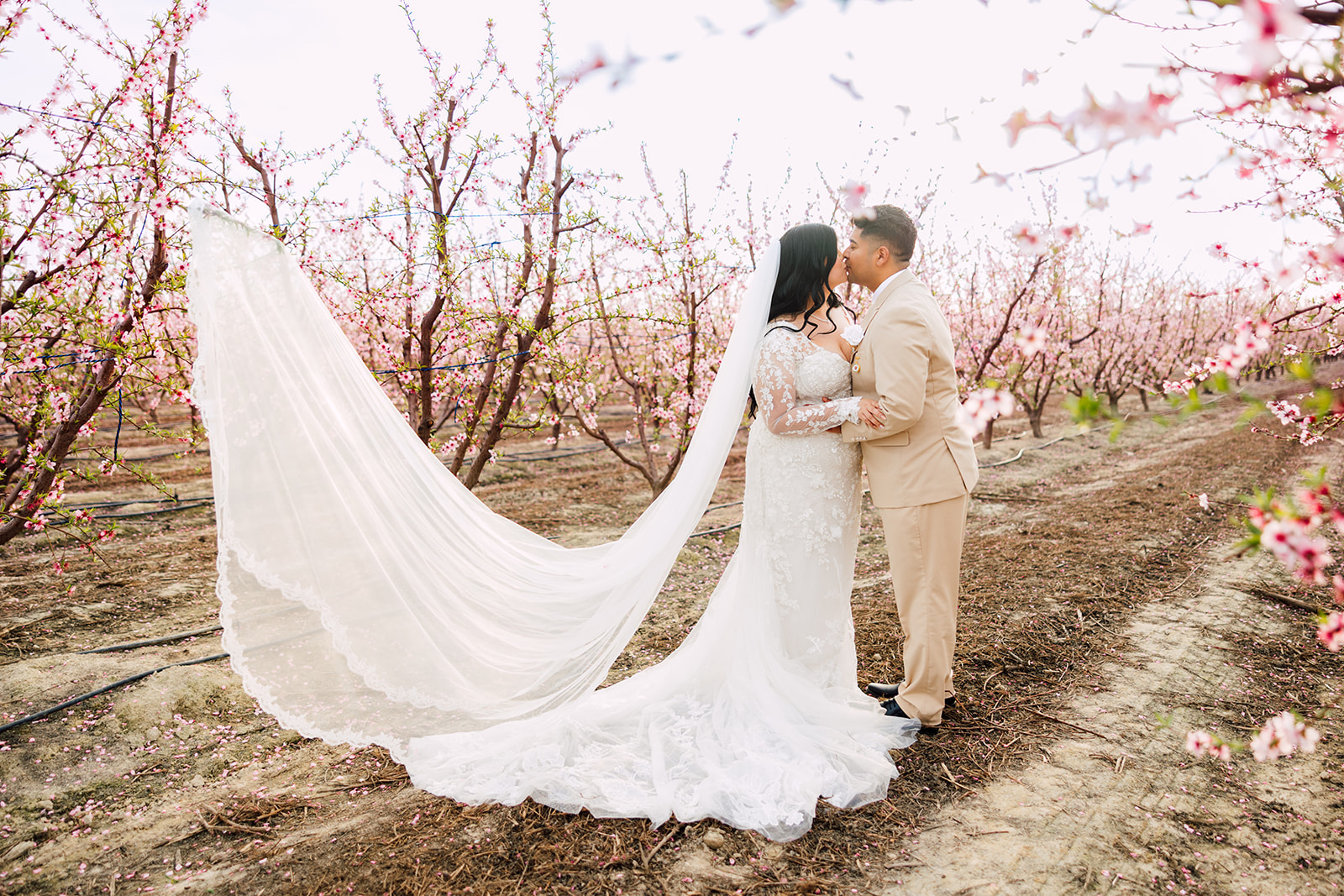 Samantha & Alejandro wedding — highlights, photo 49